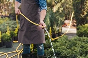 Foundation Watering