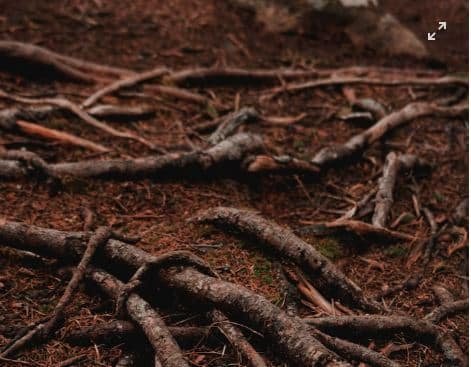 Root Barrier