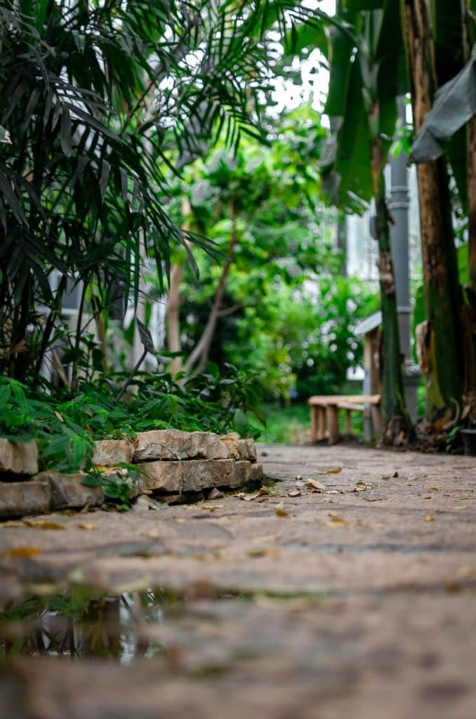 5 Landscaping Mistakes