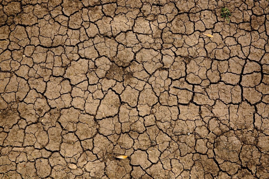 drought conditions houston foundation